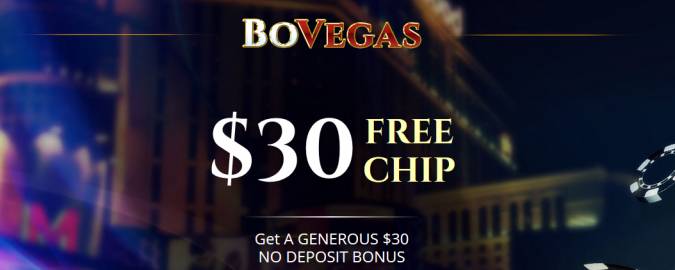 Antique black widow online slot Ports Online