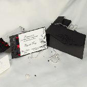 ERDEM DAVETYE 50631