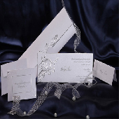 ERDEM DAVETYE 50641