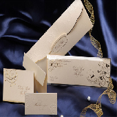 ERDEM DAVETYE 50642