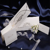 ERDEM DAVETYE 50644