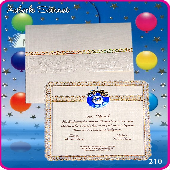 AYBERKSNNETDAVETYELERݠ210