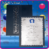 AYBERKSNNETDAVETYELERݠ223