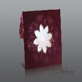 KADFE DAVETYE 002